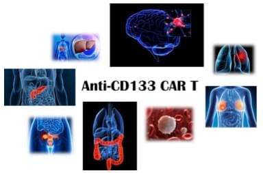 Anti-CD133 CAR-T Preclinical in vivo Assay