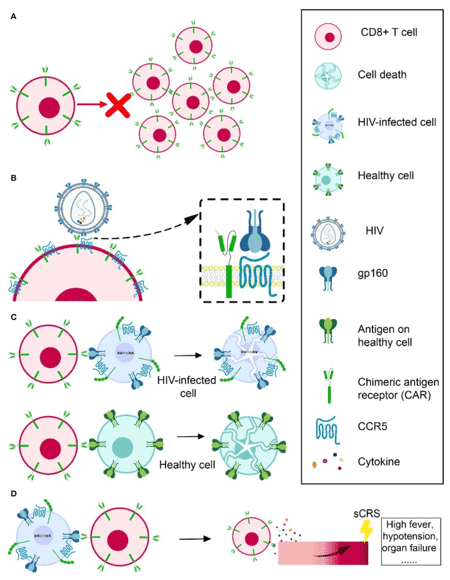 Obstacles in HIV-specific CAR-T therapy development.