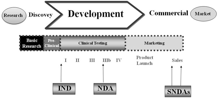 Drug development phases from research stage up to marketing.