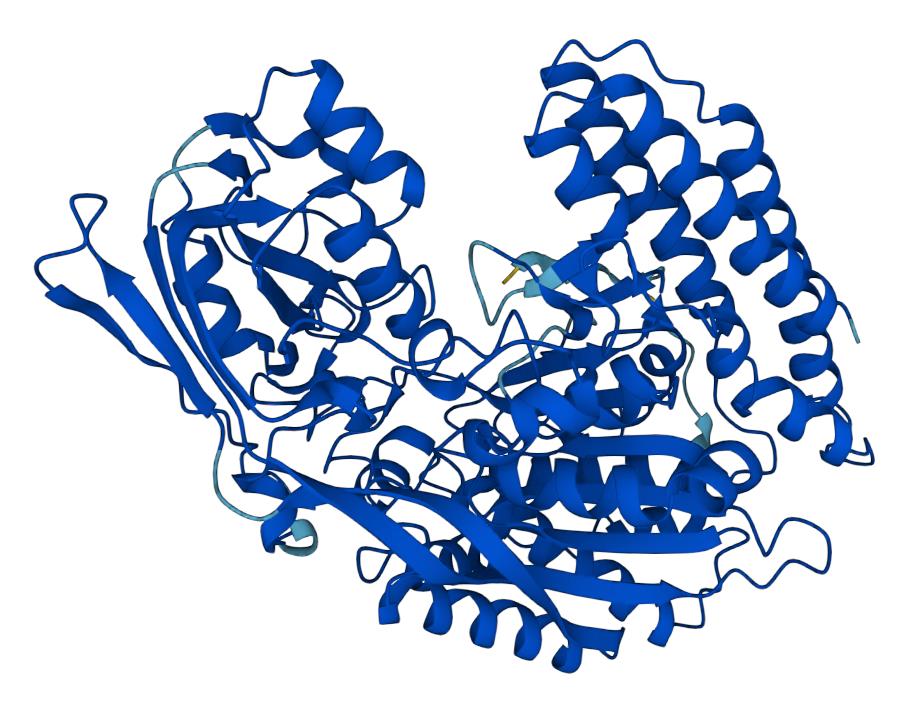 Structure of PSMA