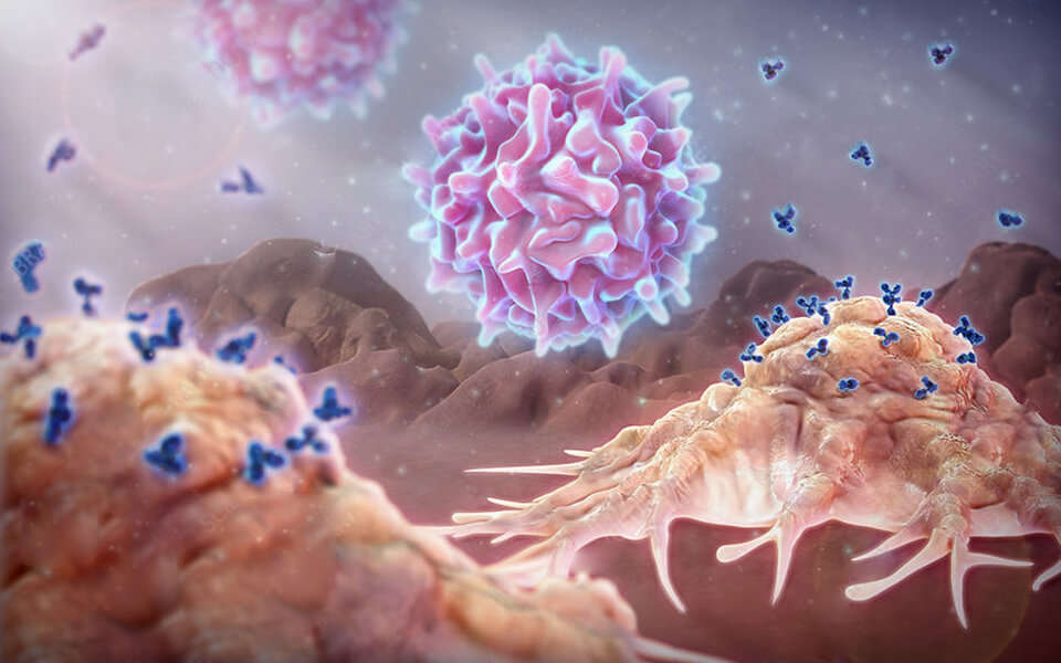 Antibody-Coupled T Cell Receptor (ACTR) Platform