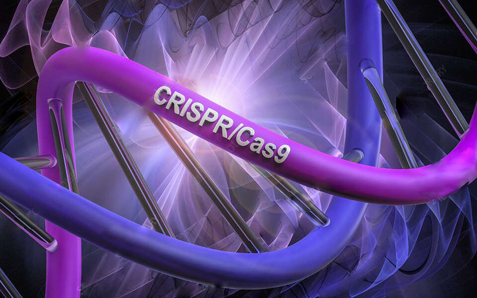 TRAC-CAR-T Cell Development with CRISPR/Cas9 Technology