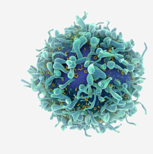 TRAC CAR-T Cell Development with CRISPR Cas9 Technology