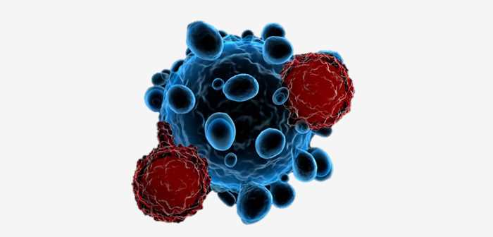 Virus Specific T Cell (VST) Technology