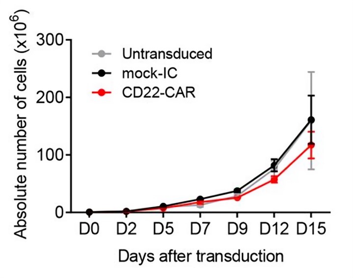 Fig.3 Proliferation of CD22 CAR-T cells. (Velasco-Hernandez, et al., 2023)
