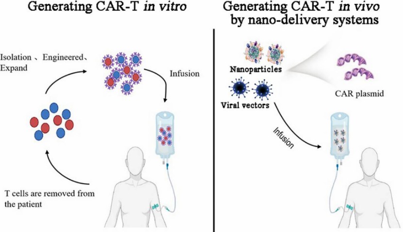 Fig.1 Comparison of generating CAR-T in-vitro and CAR-T in-vivo.