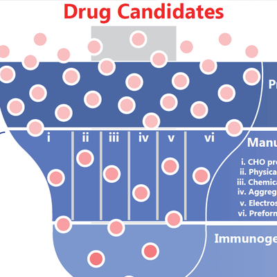 Developability Assessment of Biopharmaceutical Candidates