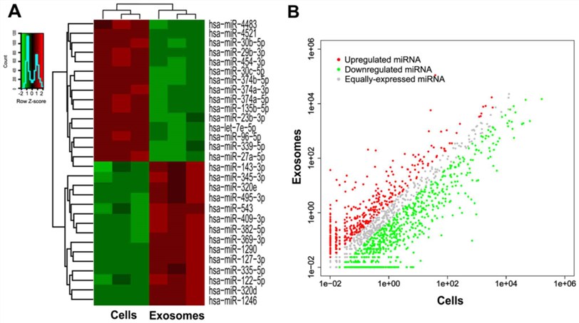 Differential miRNA expression in urine exosomes determined by miRNA microarray.