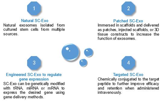 Stem Cell-derived Exosome Applications - Tissue Injury Repair