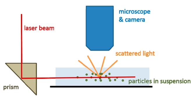 A graphic representation of the nanoparticle tracking analysis (NTA) principle.