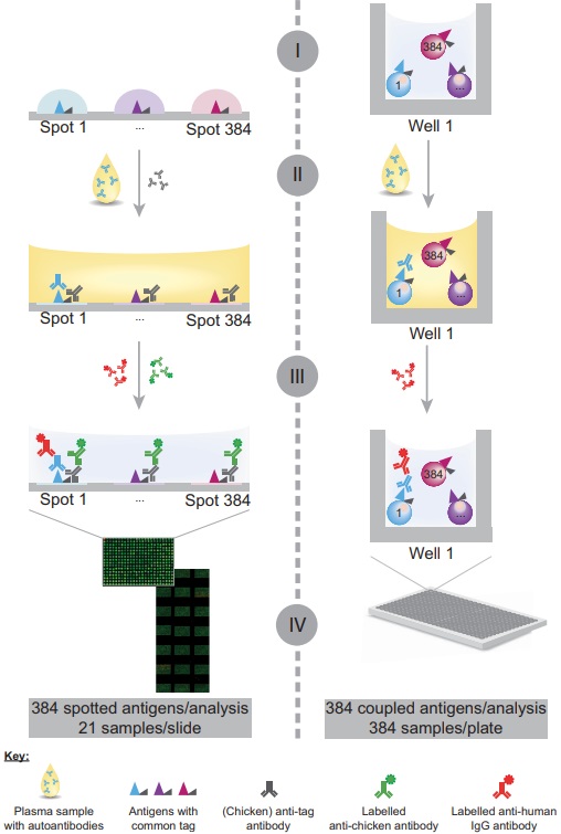The multiplexed detection of CV-specific IgG autoantibodies on plasmonic gold chips.