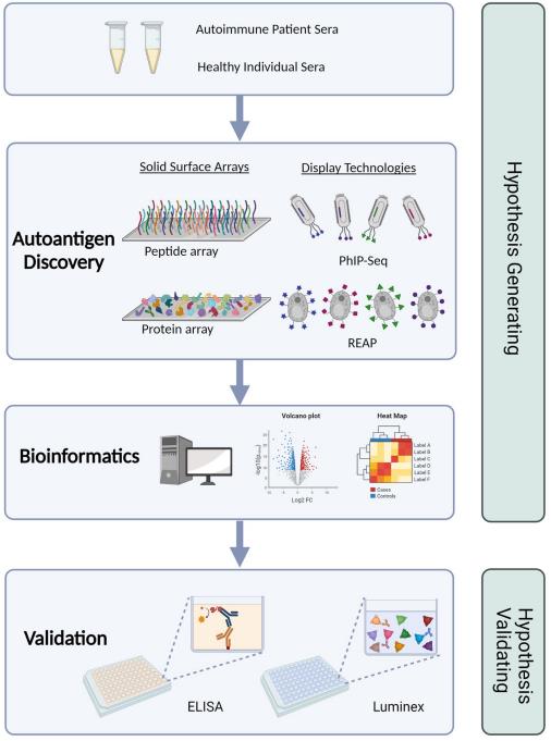 Technologies used for autoantibody discovery.
