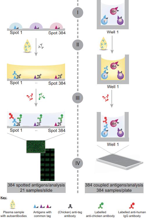 Strategies for the detection of autoantibodies on antigen arrays provide different levels of information.