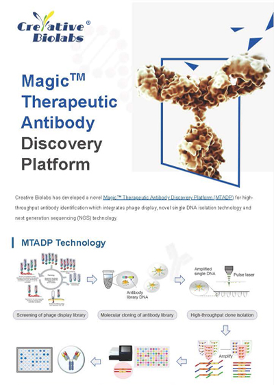 MagicTM Therapeutic Antibody Discovery Platform