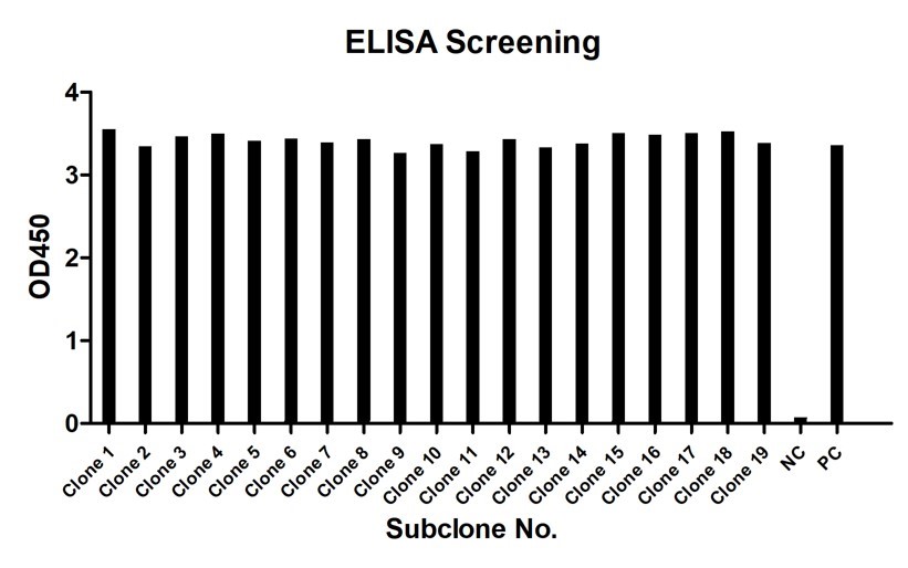 Fig.3 ELISA screening of 2nd subclone. (Creative Biolabs Original)