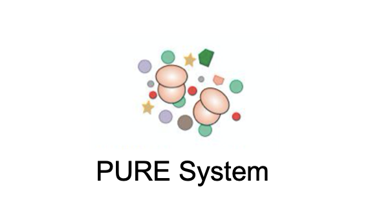 PURE System (Creative Biolabs)