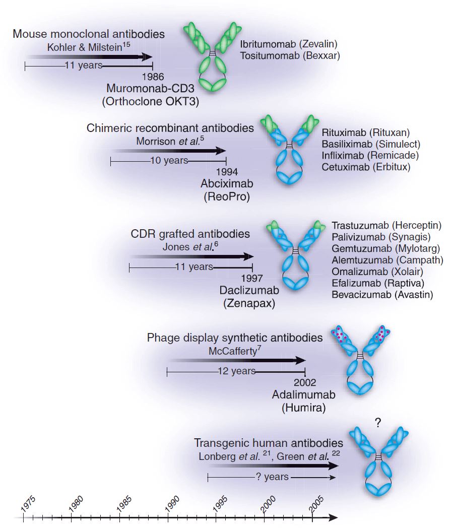 Evolution of therapeutic antibody technology and progress to the clinic