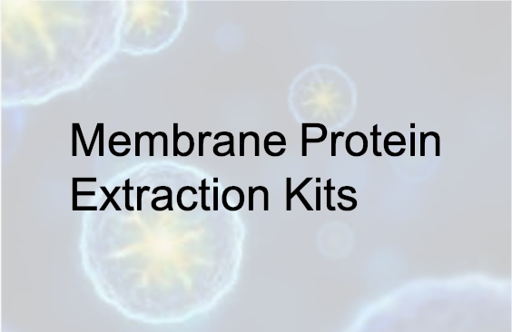 Membrane Protein Extraction Kits