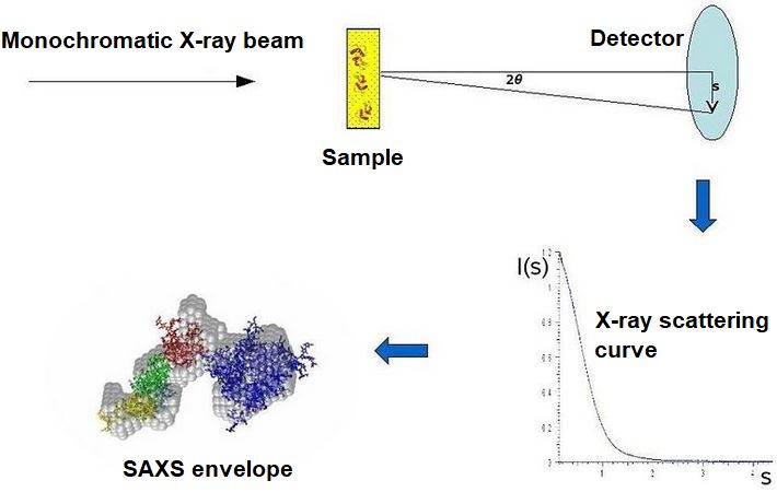 Magic™ Membrane Protein Characterization by SAXS Studies