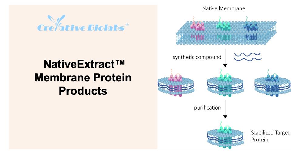 NativeExtract™ Membrane Protein Products