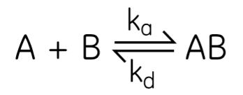 Ka is the association rate constant, and Kd is the dissociation rate constant.