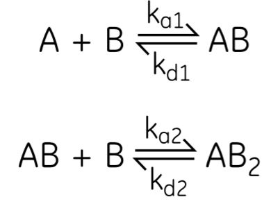 Ka1 and Kd1 are the association and dissociation rate constants for the first site, while Ka2 and Kd2 are the association and dissociation rate constants for the second site respectively.