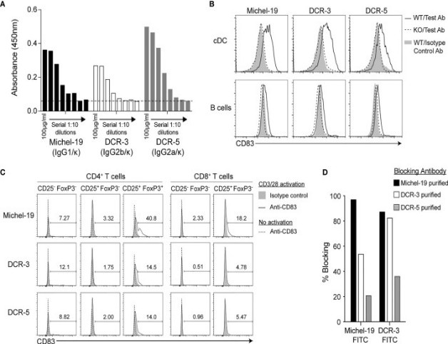 Binding properties of rat anti-mouse CD83 antibodies DCR-5 and DCR-3.