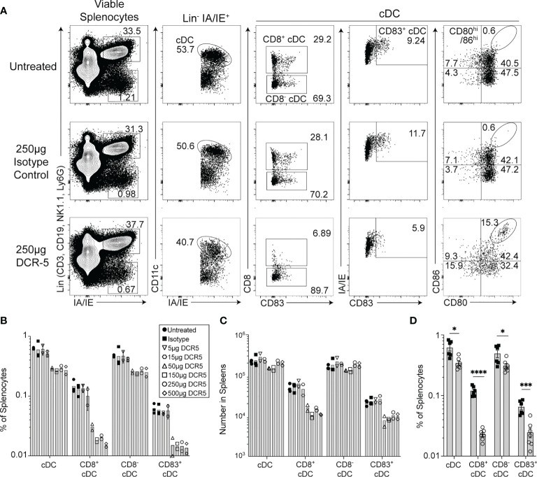 In vivo treatment of mice with DCR-5 results in depletion of DC.
