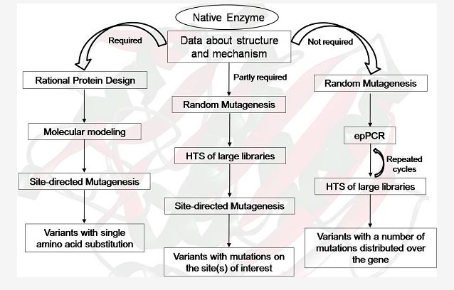 Illustration of protein engineering strategies
