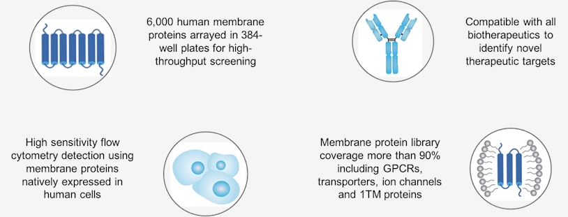 High Throughput Membrane Protein Array Screening Services 3