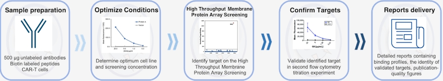 High Throughput Membrane Protein Array Screening Services workflow.