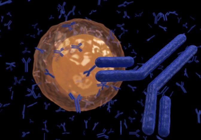 Magic™ Anti-Membrane Protein Antibody Discovery Services