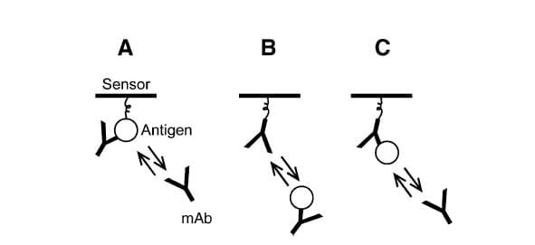 Figure 2. Outline of three biosensor-based assay orientations: (A) in tandem blocking; (B) premix blocking; and (C) classical sandwich.