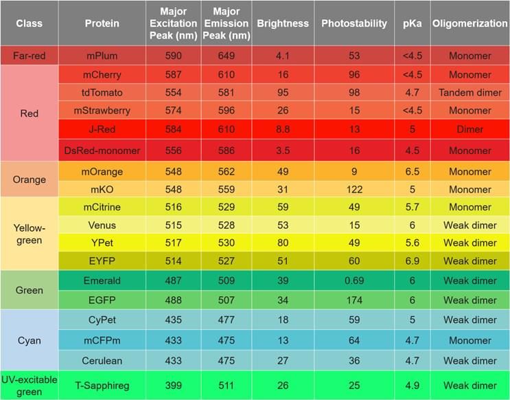 Table 1. Properties of the best FP variants. (Shaner et al. 2005)