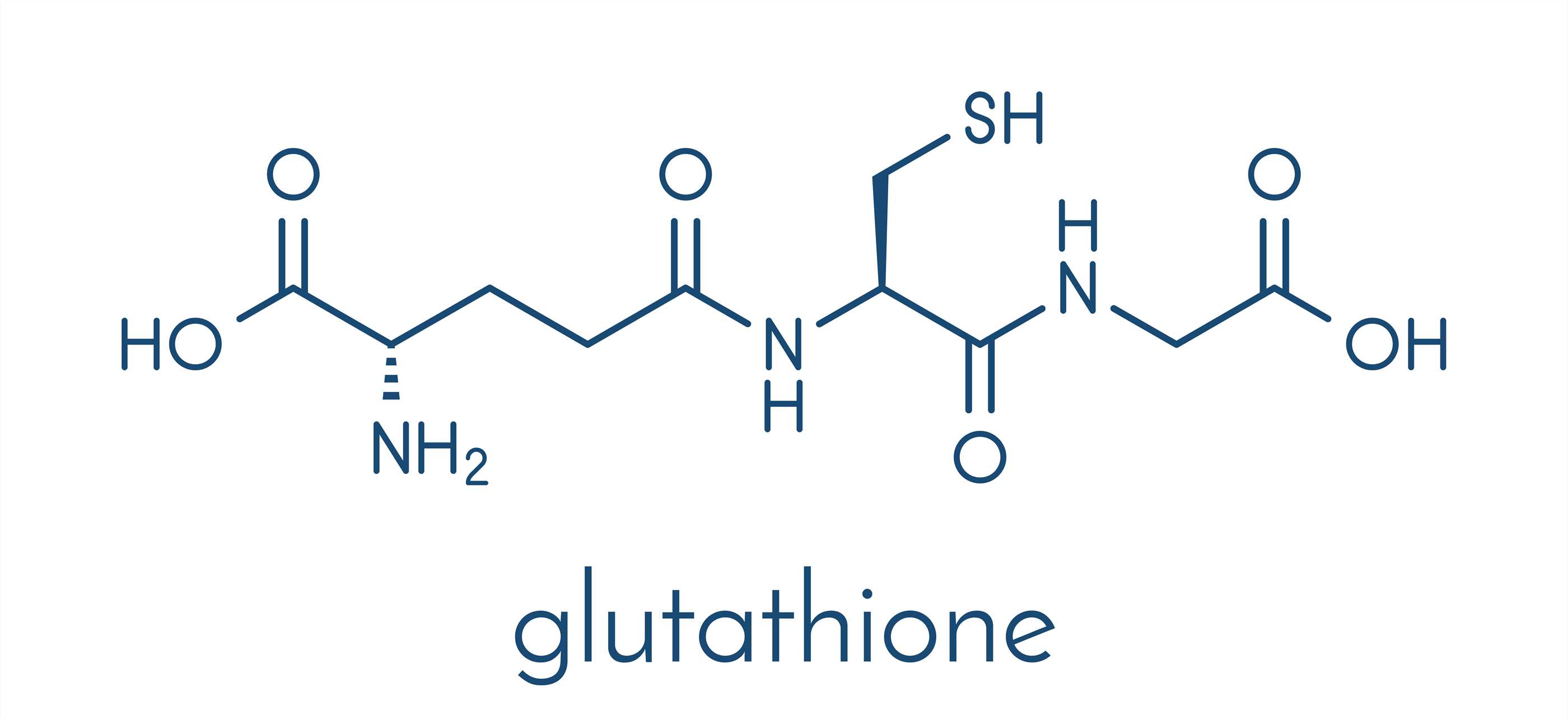 S-Glutathionylation-Specific Antibody Introduction