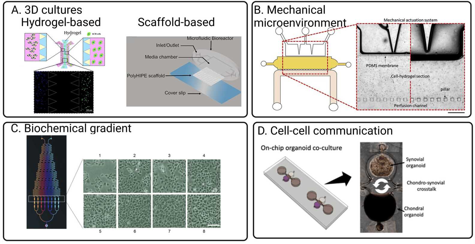 Fig 1. Adaptable strategies in organ-on-chip technology for modeling osteoarthritis.