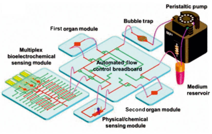Fig 1. Multi-OoC devices integrate in a single-plate format.
