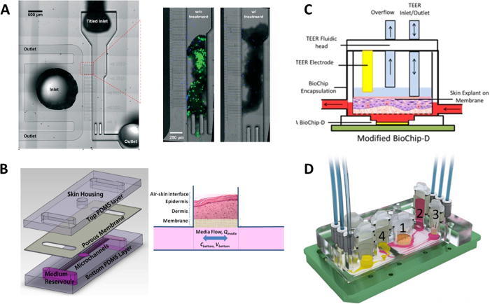 Fig 1. Transferred skin-on-a-chip platforms.