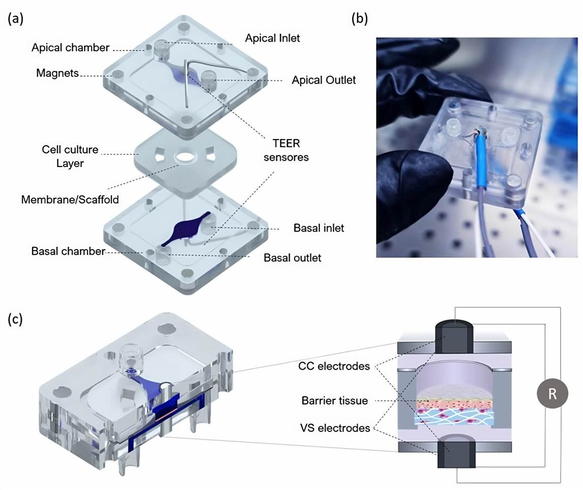 Fig 1. Schematic of the BoC platform.