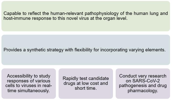 Covid-19-on-a-chip Model Introduction