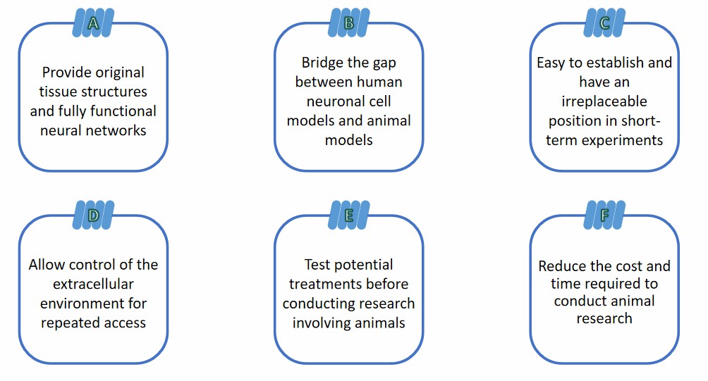 Model features. (Creative Biolabs).