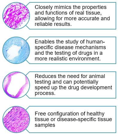 Conveniences and advantages of the novel Human artery tissue Model (Kajbafzadeh, 2017).