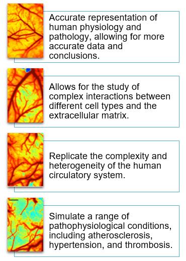 Conveniences and advantages of the novel Human Ischemic Arteries Model (Clark, 2019).