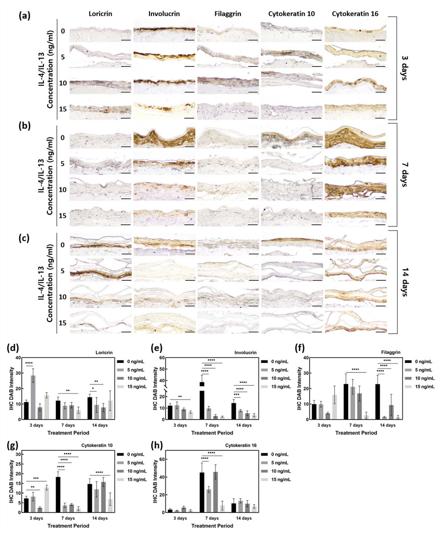Fig 4. Quantification of IHC staining of AD-HSE stimulated with IL-4/IL-13. (Kim, et al., 2022)