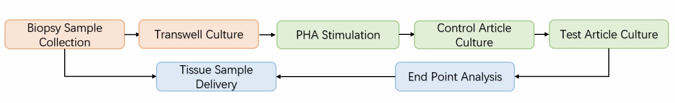 Methodology and analysis of induced atopic dermatitis skin lesions.