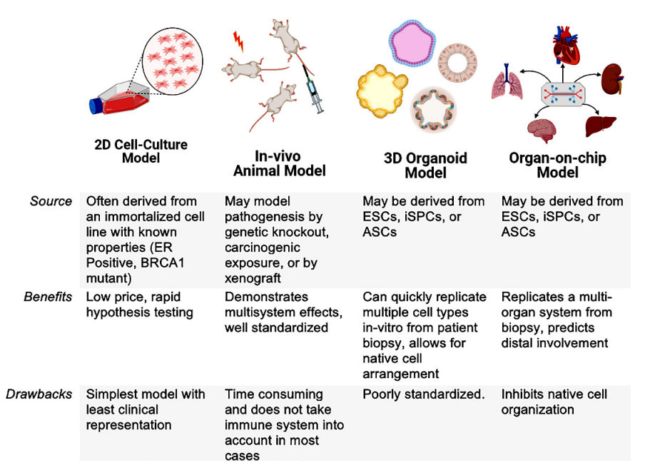 Pros and cons of existing oncological models.