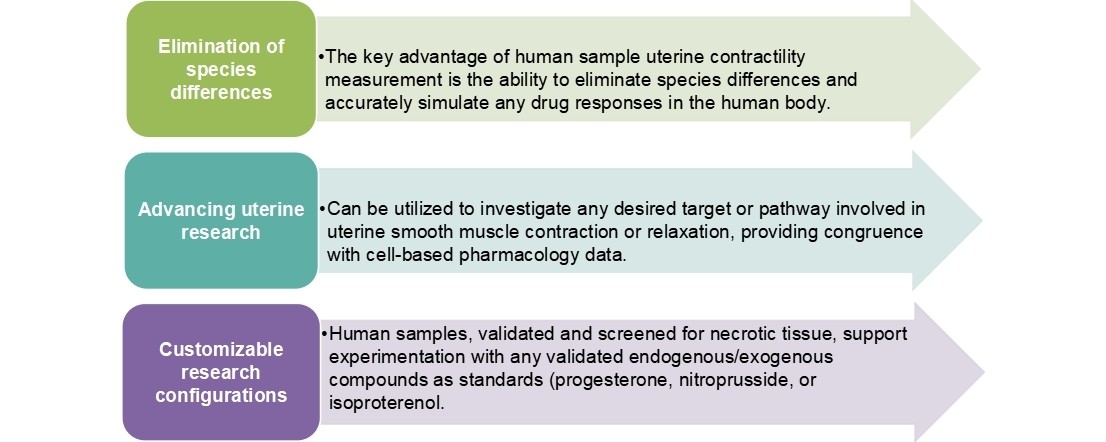 1-4-9-2-3d-ex-vivo-human-uterine-relaxation-model-2