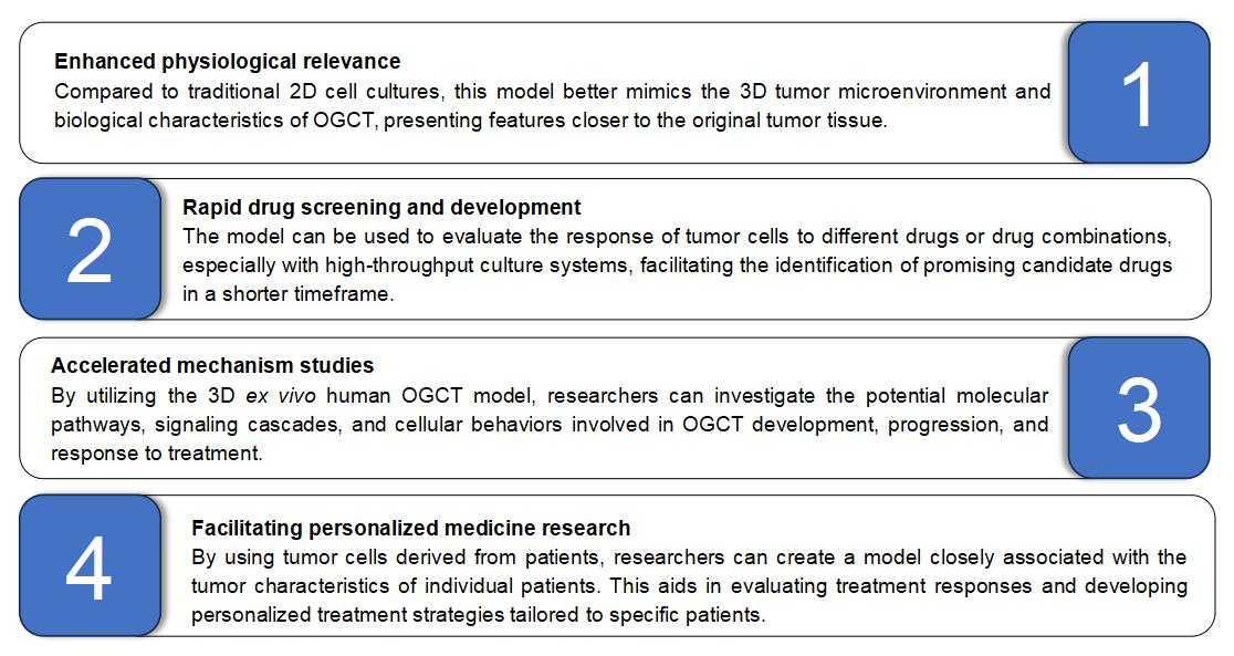 1-4-9-4-8-3d-ex-vivo-human-ovary-granulosa-cell-tumor-model-2