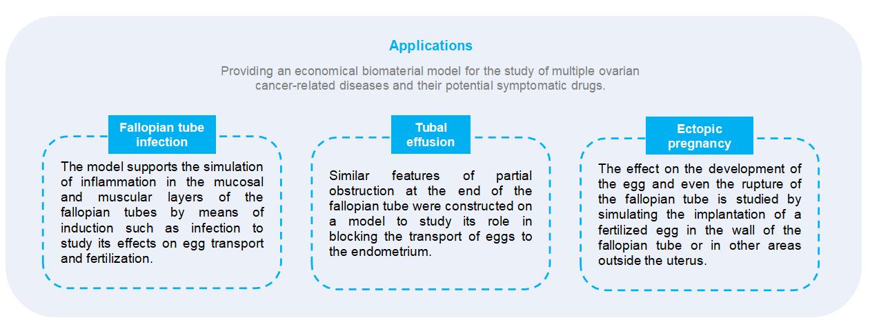1-4-9-7-3d-ex-vivo-human-fallopian-tube-tissue-model-7