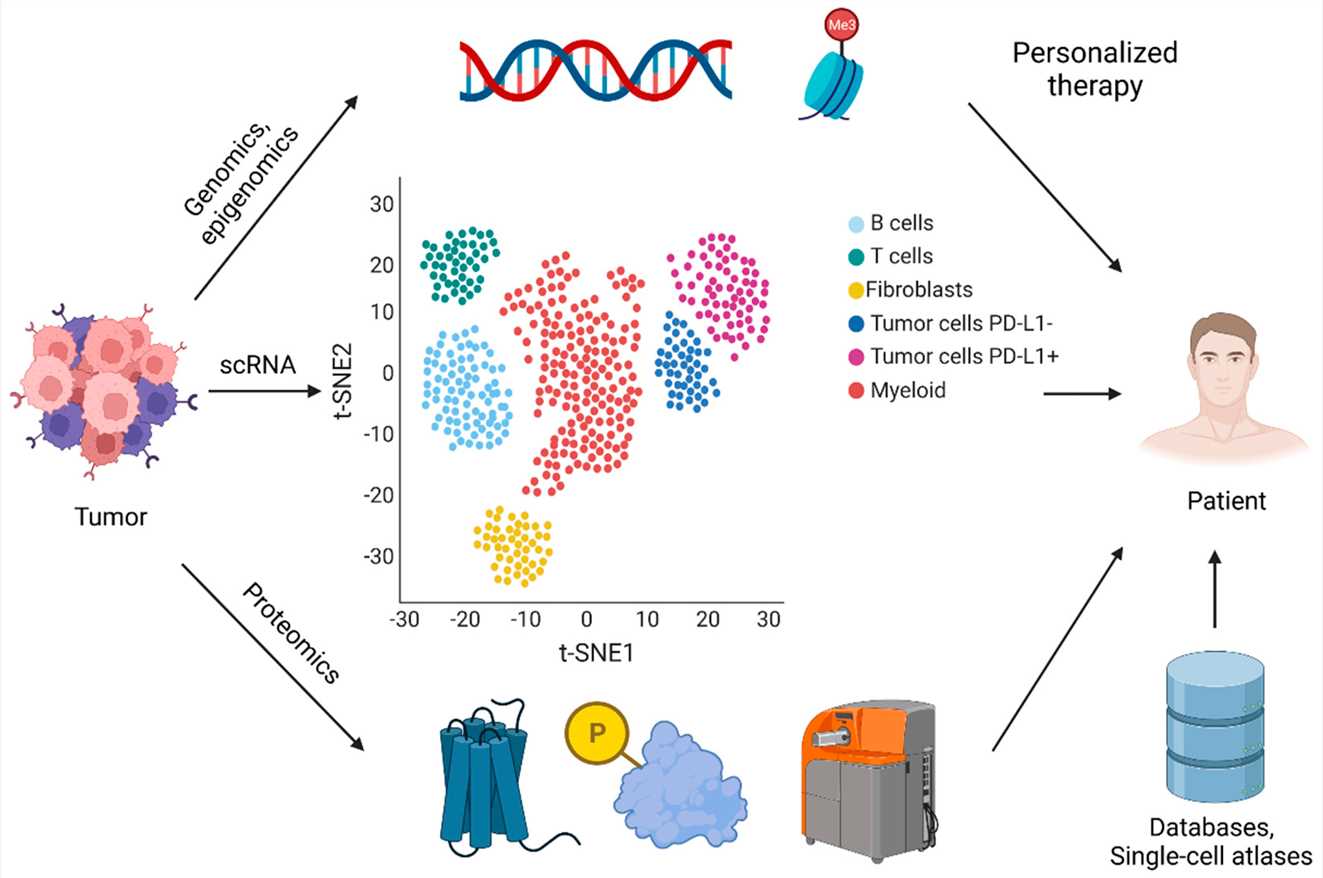 Fig 1. Schematic of single-cell sequencing in precision medicine.